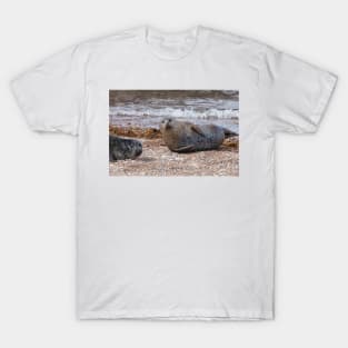 Two common seals at Portgordon Scotland T-Shirt